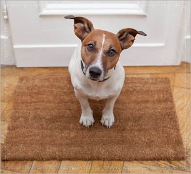 Custom sized coir doormats