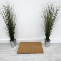 PVC Backed Coir Doormats - Natural